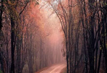 曼城大胜，积分榜领跑优势更大