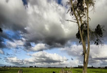 英格兰女足连胜青睐球迷期待决赛战役