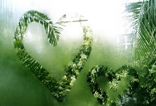 切尔西重现辉煌势必凯旋归来