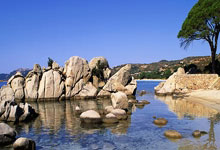 世界足坛最新情报曝光，球迷热议不断